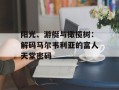 阳光、游艇与橄榄树：解码马尔韦利亚的富人天堂密码