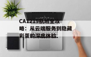 CA1219航班全攻略：从云端服务到隐藏彩蛋的深度体验