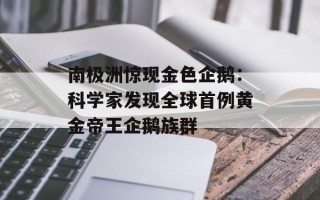 南极洲惊现金色企鹅：科学家发现全球首例黄金帝王企鹅族群