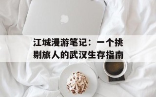 江城漫游笔记：一个挑剔旅人的武汉生存指南