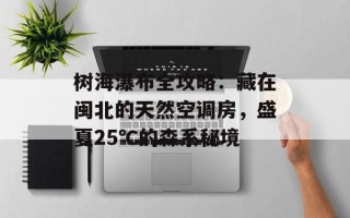 树海瀑布全攻略：藏在闽北的天然空调房，盛夏25℃的森系秘境