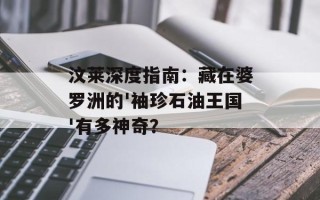 汶莱深度指南：藏在婆罗洲的'袖珍石油王国'有多神奇？
