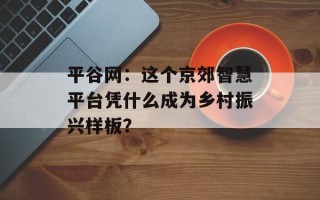 平谷网：这个京郊智慧平台凭什么成为乡村振兴样板？