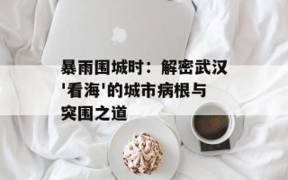 暴雨围城时：解密武汉'看海'的城市病根与突围之道