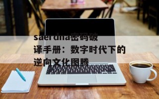 saerdna密码破译手册：数字时代下的逆向文化图腾