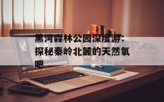 黑河森林公园深度游：探秘秦岭北麓的天然氧吧