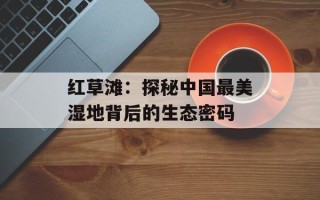 红草滩：探秘中国最美湿地背后的生态密码