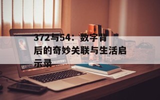 372与54：数字背后的奇妙关联与生活启示录