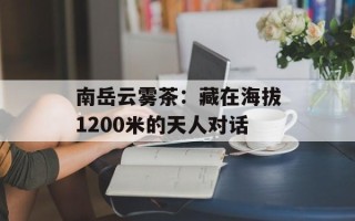 南岳云雾茶：藏在海拔1200米的天人对话