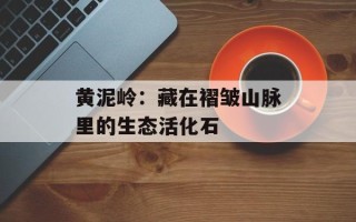 黄泥岭：藏在褶皱山脉里的生态活化石