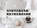 当代留学价值全景图：镀金之路还是成长跳板？