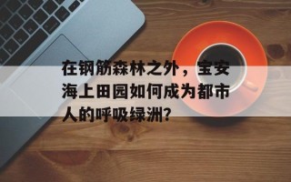 在钢筋森林之外，宝安海上田园如何成为都市人的呼吸绿洲？