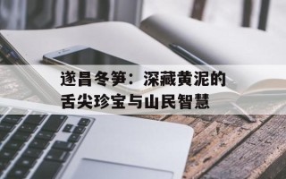 遂昌冬笋：深藏黄泥的舌尖珍宝与山民智慧