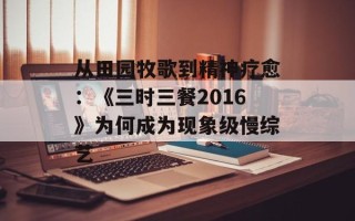 从田园牧歌到精神疗愈：《三时三餐2016》为何成为现象级慢综艺