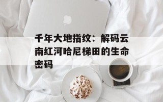 千年大地指纹：解码云南红河哈尼梯田的生命密码