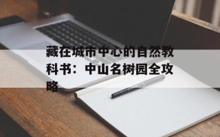 藏在城市中心的自然教科书：中山名树园全攻略