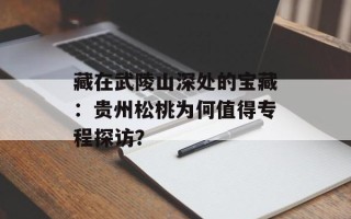 藏在武陵山深处的宝藏：贵州松桃为何值得专程探访？