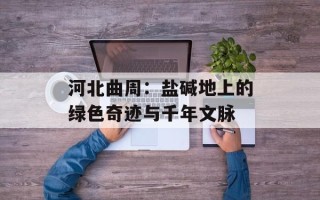 河北曲周：盐碱地上的绿色奇迹与千年文脉