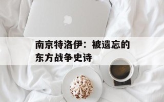 南京特洛伊：被遗忘的东方战争史诗