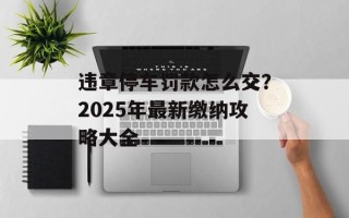 违章停车罚款怎么交？2025年最新缴纳攻略大全