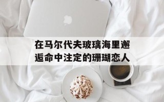 在马尔代夫玻璃海里邂逅命中注定的珊瑚恋人