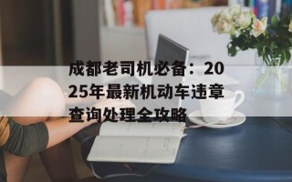 成都老司机必备：2025年最新机动车违章查询处理全攻略