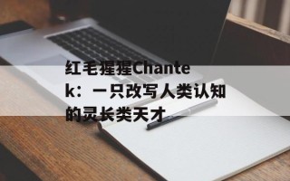 红毛猩猩Chantek：一只改写人类认知的灵长类天才