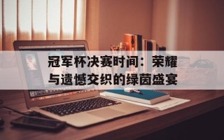 冠军杯决赛时间：荣耀与遗憾交织的绿茵盛宴