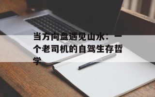 当方向盘遇见山水：一个老司机的自驾生存哲学