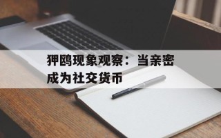 狎鸥现象观察：当亲密成为社交货币