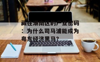 藏在潮南区的产业密码：为什么司马浦能成为粤东经济黑马？