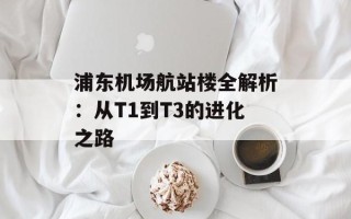 浦东机场航站楼全解析：从T1到T3的进化之路