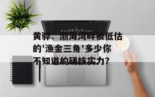 黄骅：渤海湾畔被低估的'渔金三角'多少你不知道的硬核实力？