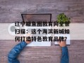 辽宁鲅鱼圈教育网全景扫描：这个海滨新城如何打造特色教育品牌？