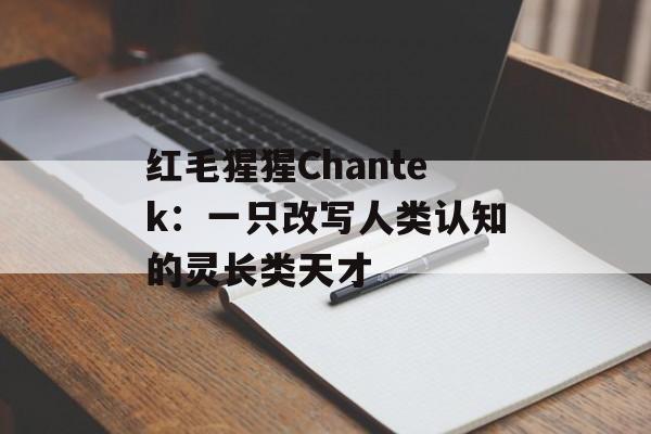 红毛猩猩Chantek：一只改写人类认知的灵长类天才-第1张图片-