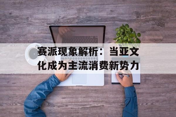 赛派现象解析：当亚文化成为主流消费新势力-第1张图片-