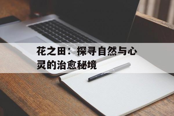 花之田：探寻自然与心灵的治愈秘境-第1张图片-