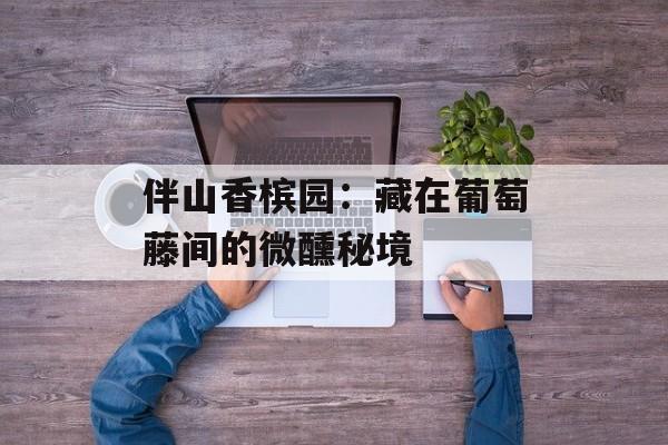 伴山香槟园：藏在葡萄藤间的微醺秘境-第1张图片-