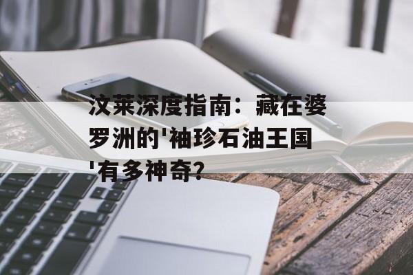 汶莱深度指南：藏在婆罗洲的'袖珍石油王国'有多神奇？-第1张图片-