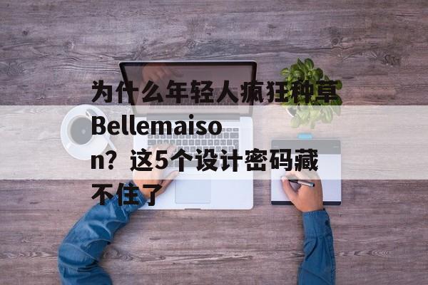 为什么年轻人疯狂种草Bellemaison？这5个设计密码藏不住了-第1张图片-