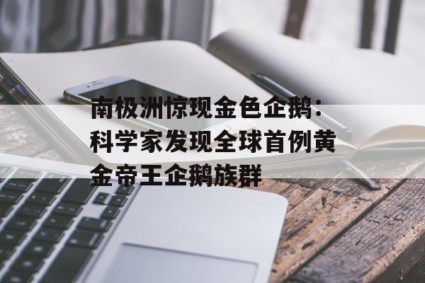 南极洲惊现金色企鹅：科学家发现全球首例黄金帝王企鹅族群-第1张图片-