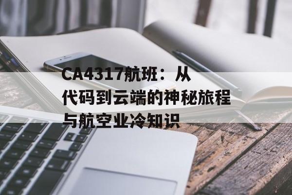 CA4317航班：从代码到云端的神秘旅程与航空业冷知识-第1张图片-